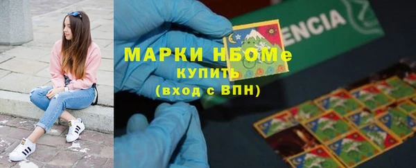 мет Алексин