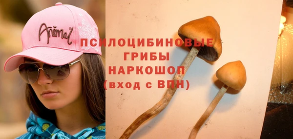 мет Алексин
