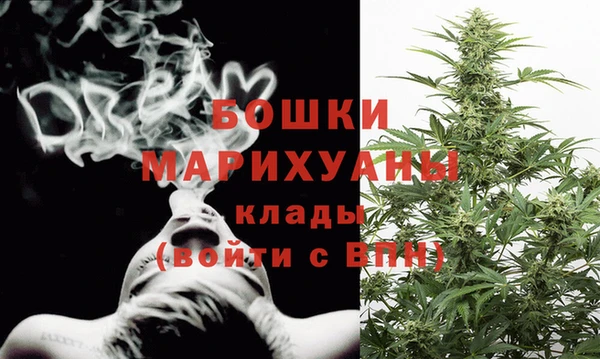гидра Алексеевка