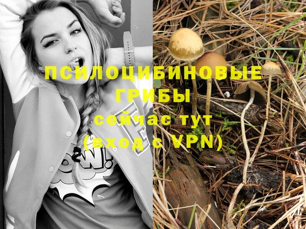 гидра Алексеевка
