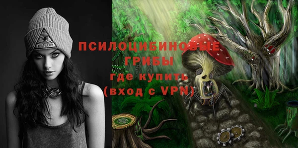 гидра Алексеевка
