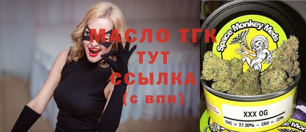 мет Алексин
