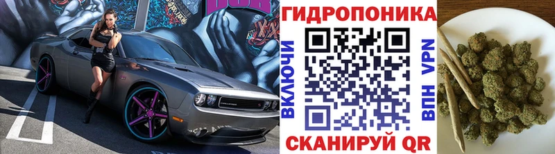 Конопля гибрид Сухиничи